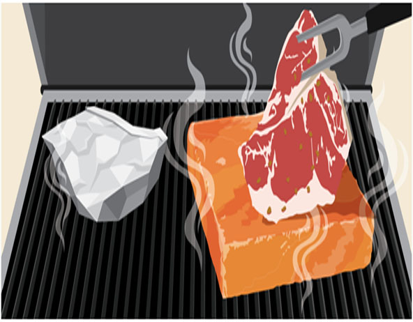 Grilling on a Himalayan Salt Block 101